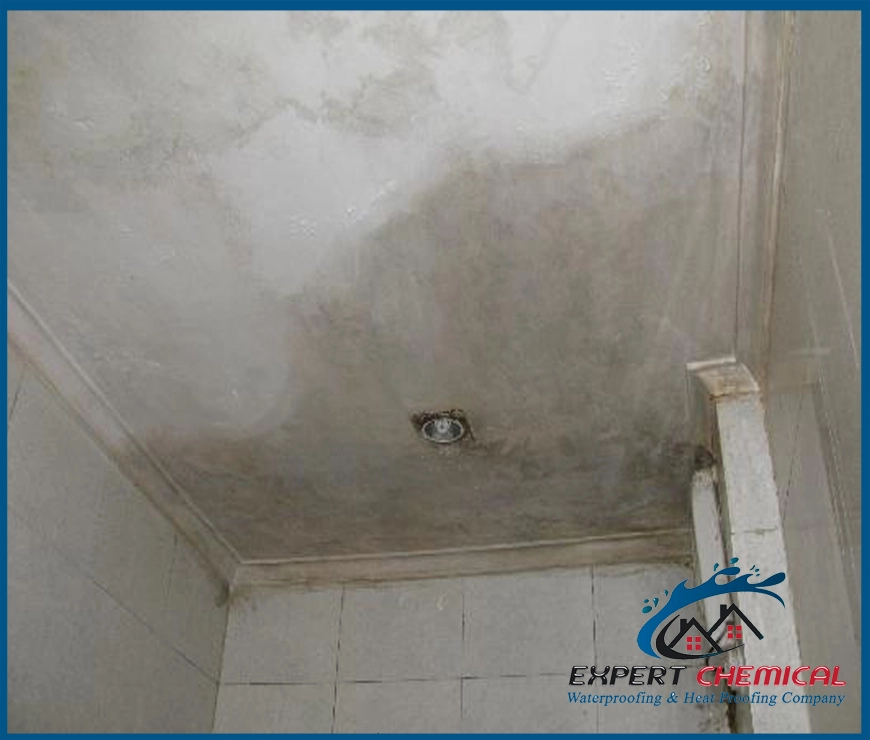 Bathroom Leakage Repair